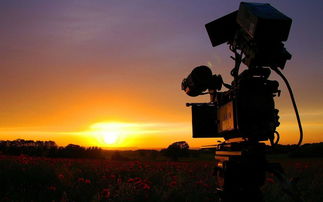 獨家秘訣 商業廣告如何拍才能更有趣？免費分享實用技巧